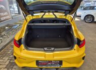 Renault Megane RS 300 Trophy 4 control